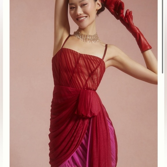 Anthropologie Dresses & Skirts - Anthropologie Structured Tulle Dress size 6